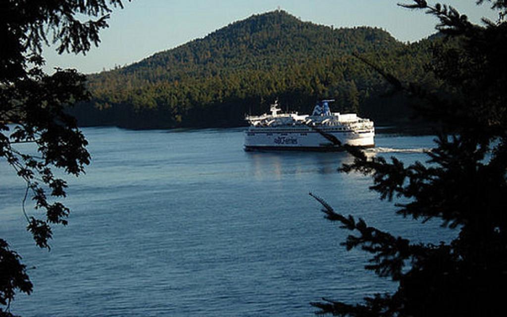 Amara Bed & Breakfast (Adults Only) Sidney Exteriör bild